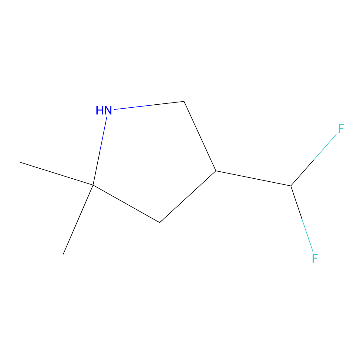 4-(Difluoromethyl)-2,2-dimethylpyrrolidine molecular structure, CAS 2416229-42-8