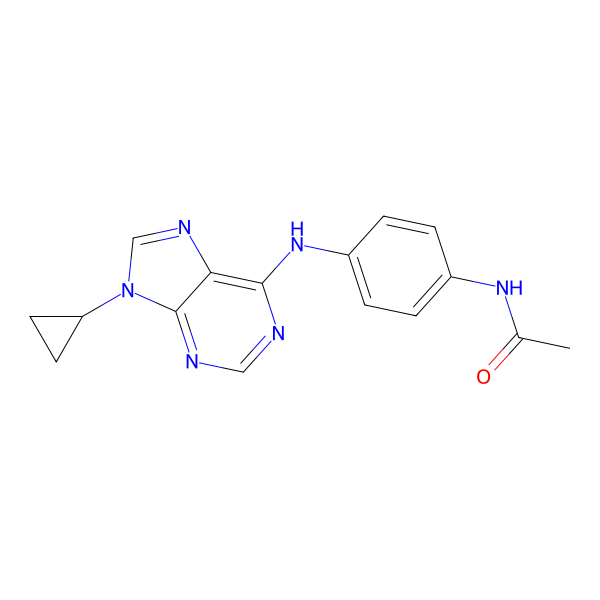 N-{4-[(9-cyclopropyl-9H-purin-6-yl)amino]phenyl}acetamide molecular structure, CAS 2419268-52-1