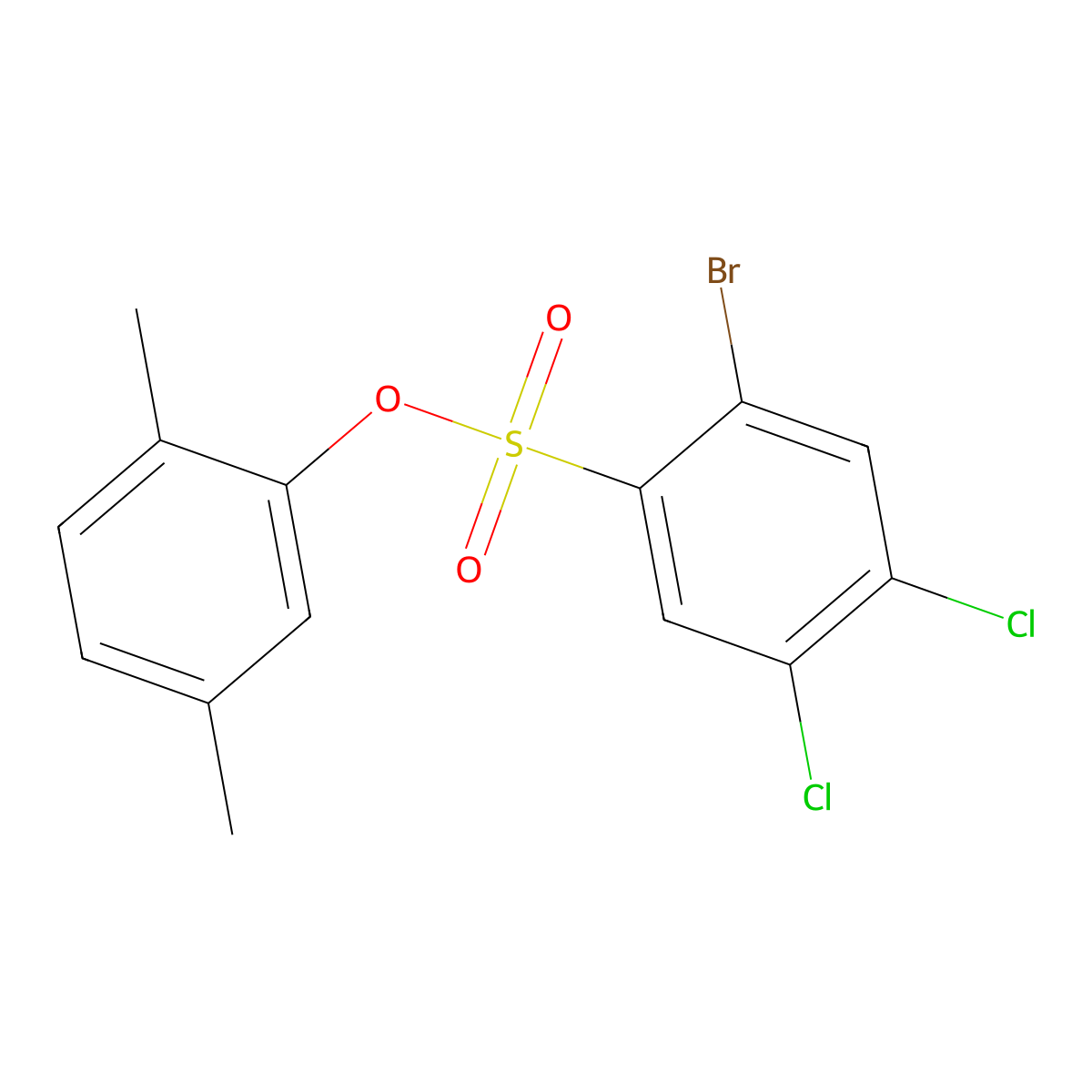 2,5-Dimethylphenyl 2-bromo-4,5-dichlorobenzene-1-sulfonate molecular structure, CAS 2419422-56-1