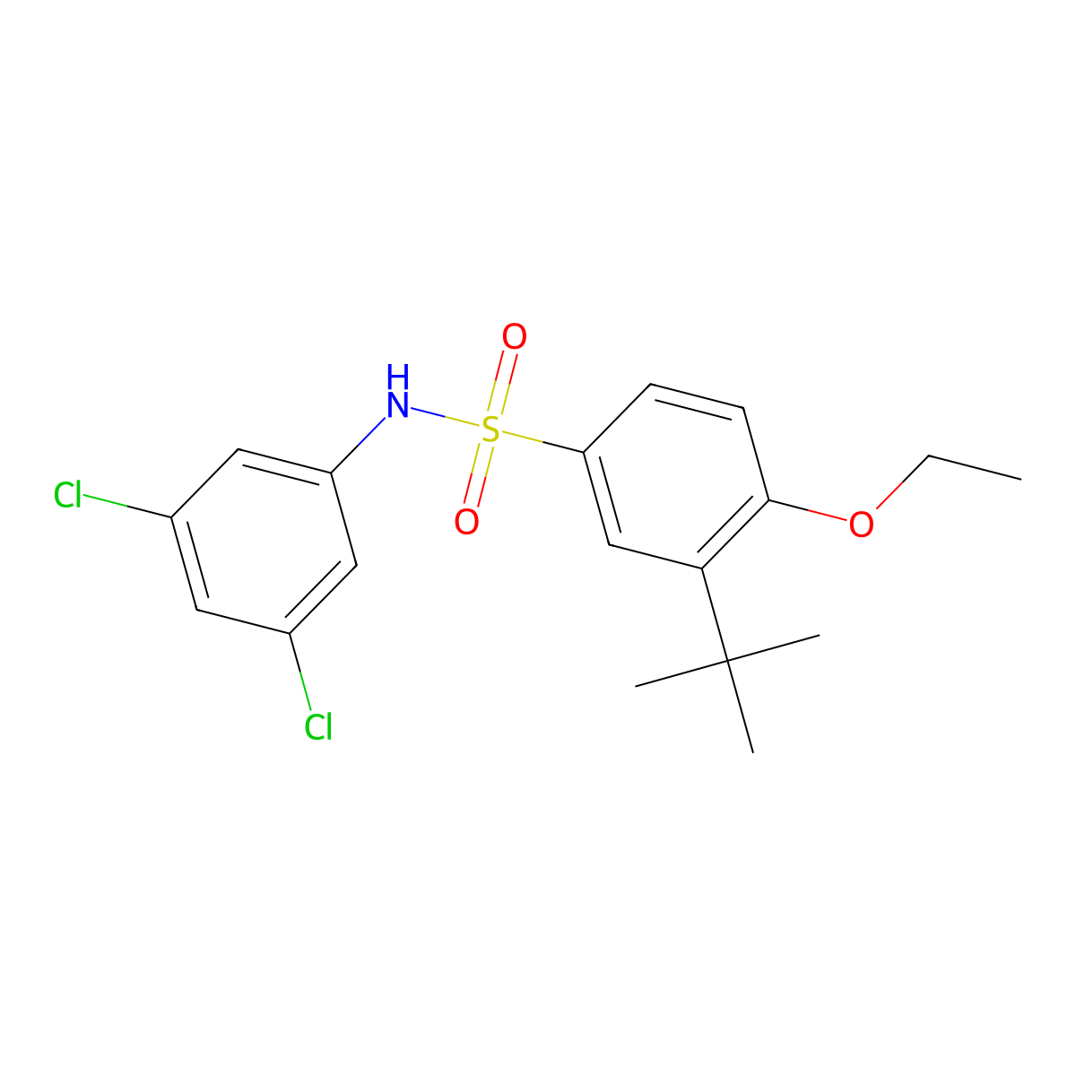 3-tert-butyl-N-(3,5-dichlorophenyl)-4-ethoxybenzene-1-sulfonamide molecular structure, CAS 2419650-54-5