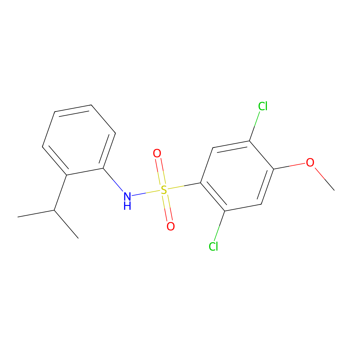 2,5-dichloro-4-methoxy-N-[2-(propan-2-yl)phenyl]benzene-1-sulfonamide molecular structure, CAS 2419728-56-4