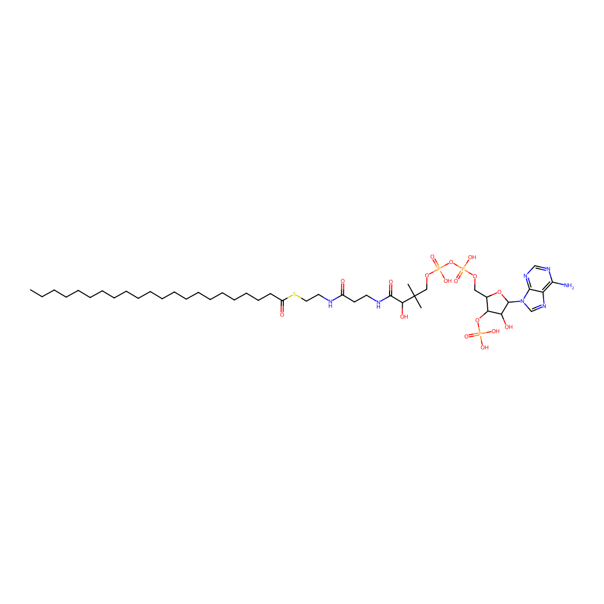 docosanoyl-CoA molecular structure, CAS 24330-89-0