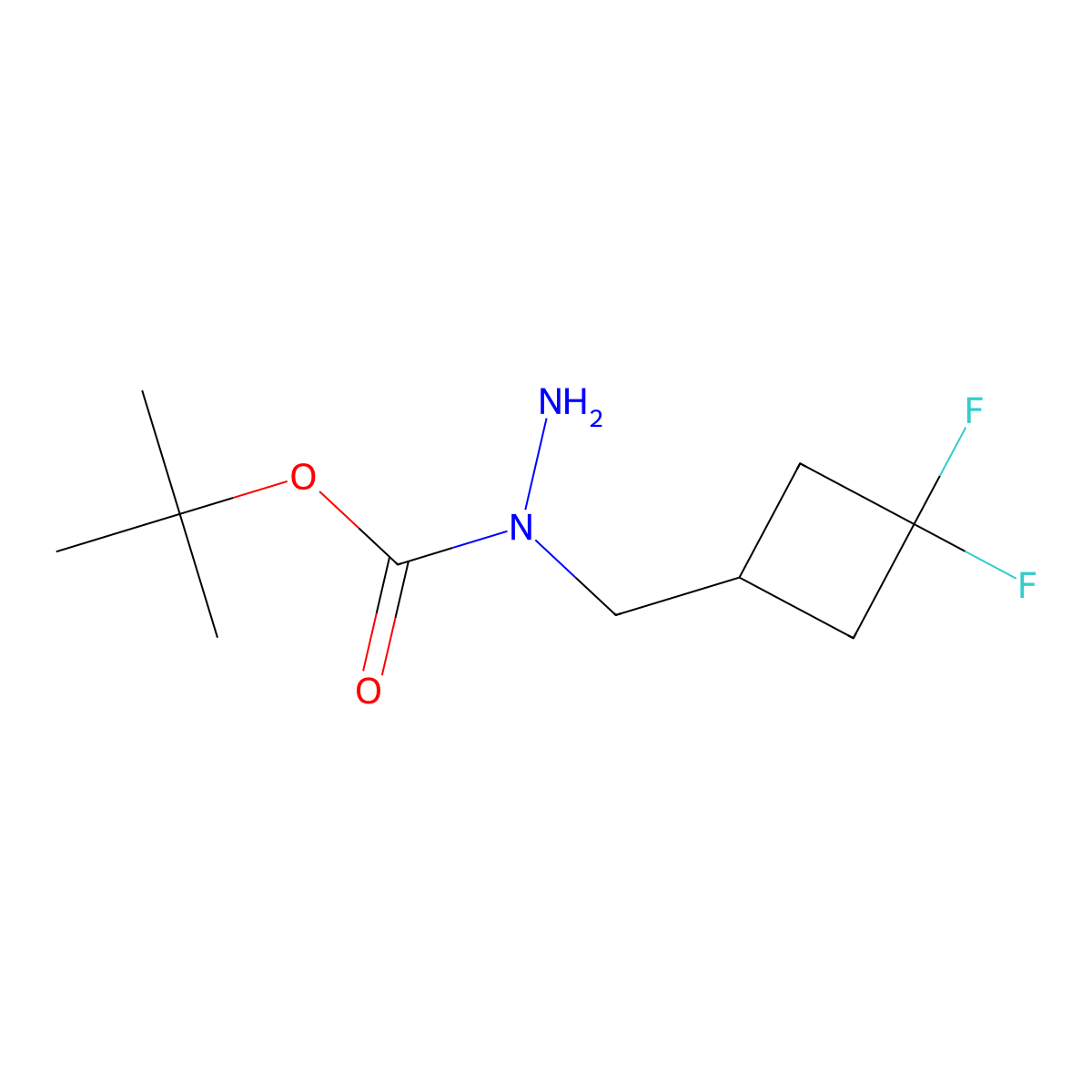 N-[(3,3-difluorocyclobutyl)methyl](tert-butoxy)carbohydrazide molecular structure, CAS 2445785-80-6
