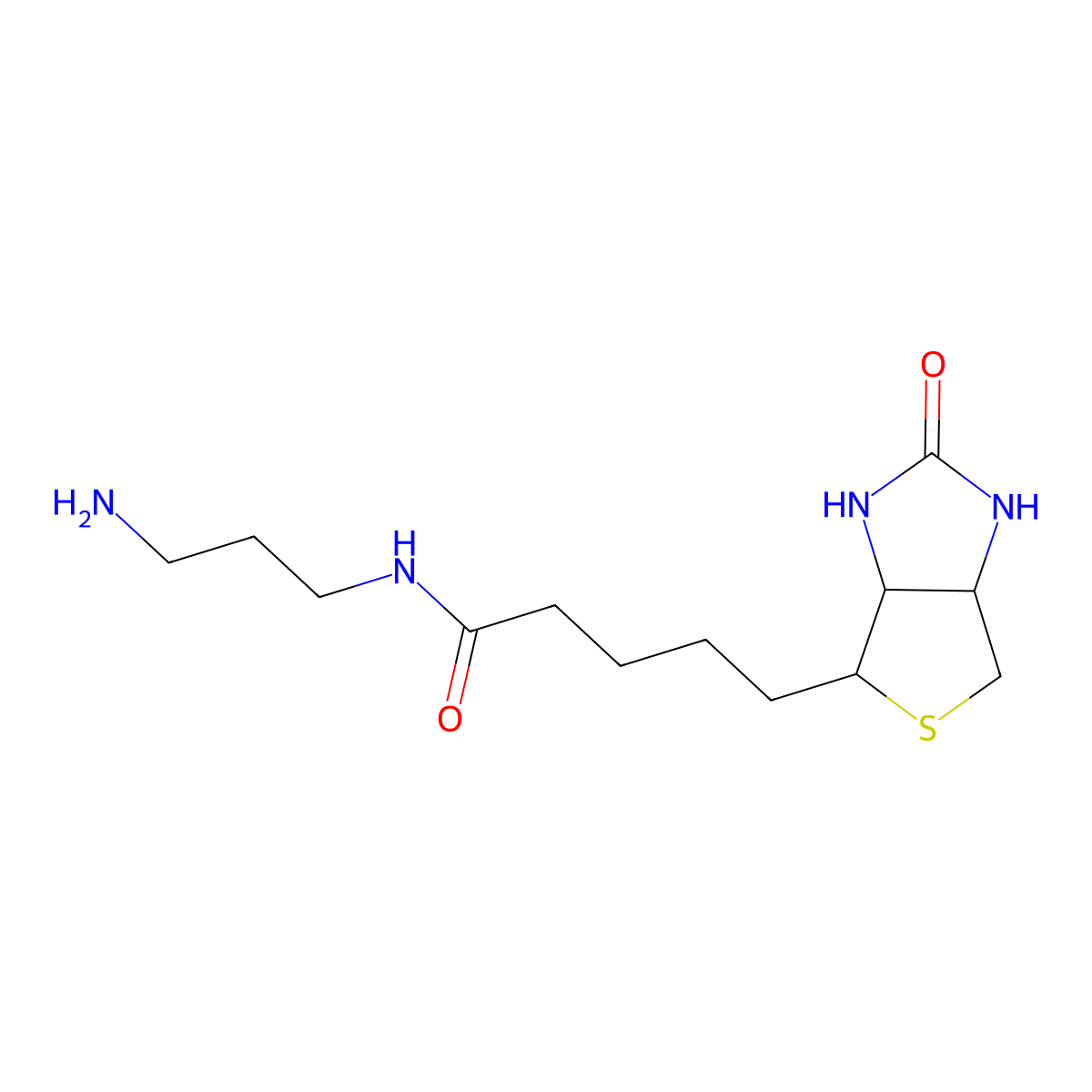 N-(3-aminopropyl)-5-((3aS,4S,6aR)-2-oxohexahydro-1H-thieno[3,4-d]imidazol-4-yl)pentanamide molecular structure, CAS 244760-25-6