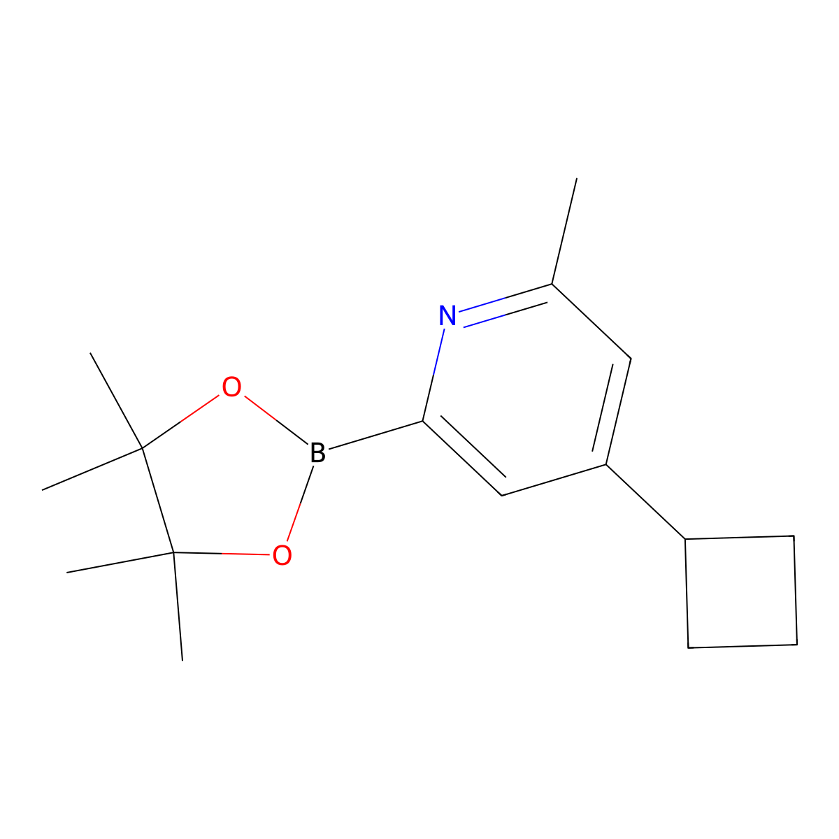 4-Cyclobutyl-2-methyl-6-(4,4,5,5-tetramethyl-1,3,2-dioxaborolan-2-yl)pyridine molecular structure, CAS 2460672-29-9