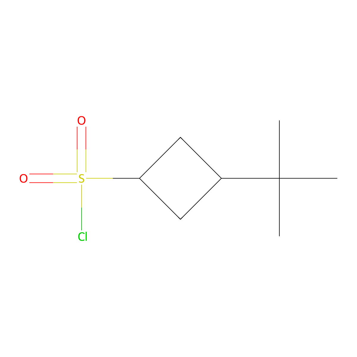 Rac-(1s,3s)-3-tert-butylcyclobutane-1-sulfonyl chloride molecular structure, CAS 2490402-31-6