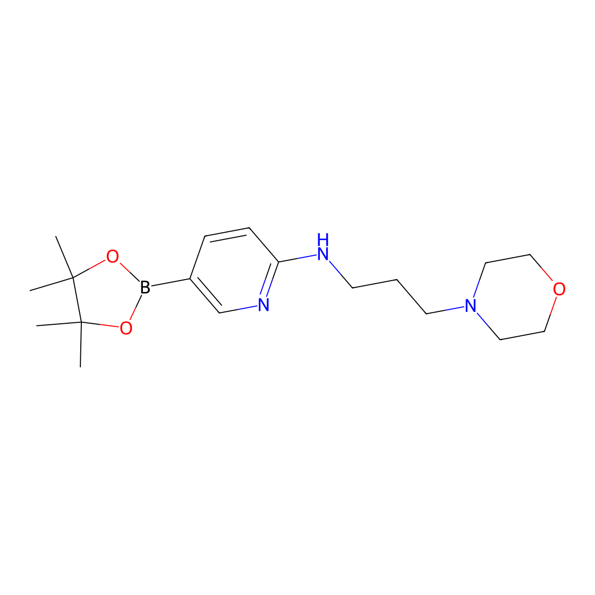 N-[3-(morpholin-4-yl)propyl]-5-(tetramethyl-1,3,2-dioxaborolan-2-yl)pyridin-2-amine molecular structure, CAS 2490666-11-8