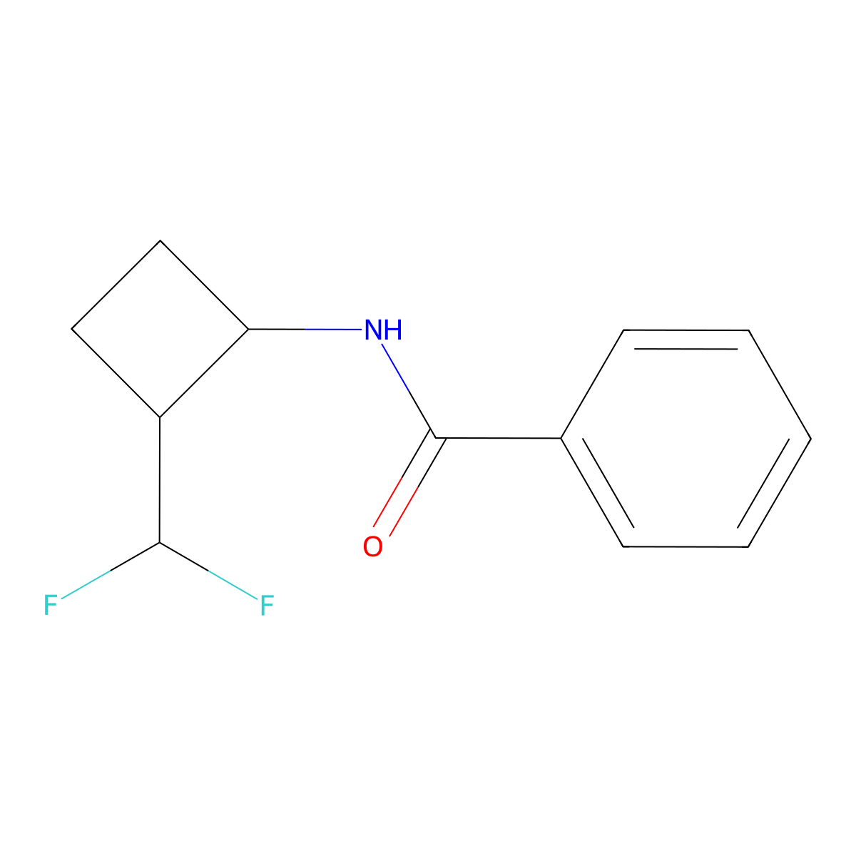 N-[2-(difluoromethyl)cyclobutyl]benzamide molecular structure, CAS 2503202-95-5