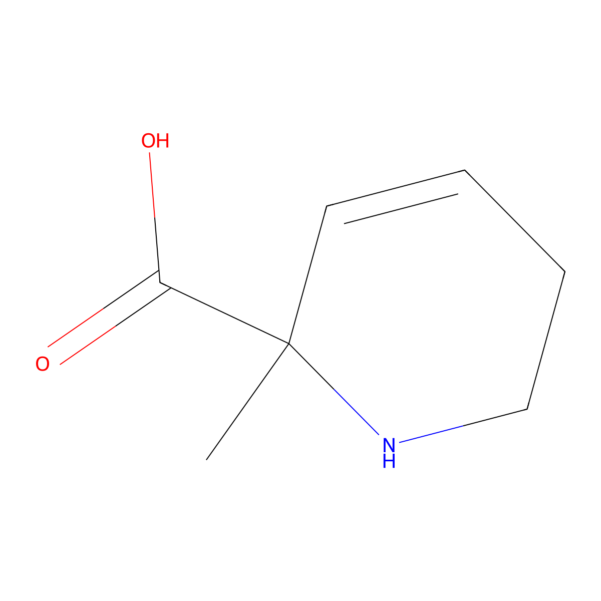 2-Methyl-1,2,5,6-tetrahydropyridine-2-carboxylic acid molecular structure, CAS 2503204-64-4