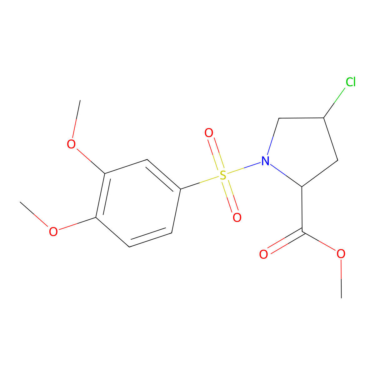 Methyl 4-chloro-1-[(3,4-dimethoxyphenyl)sulfonyl]-2-pyrrolidinecarboxylate molecular structure, CAS 251310-37-9