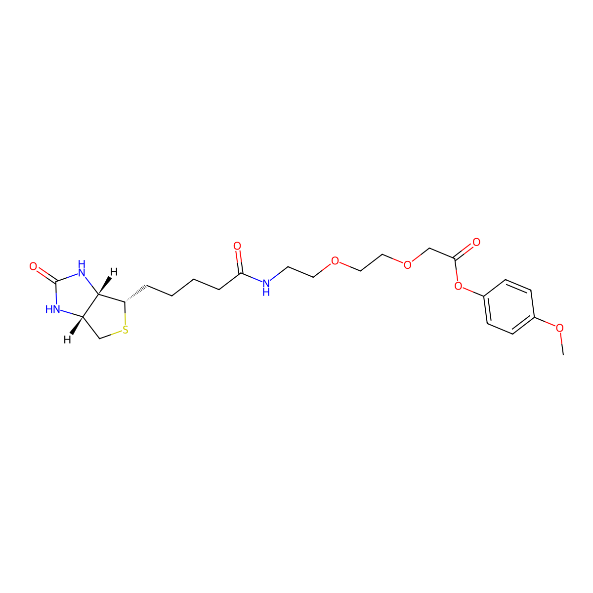 Biotin-AEEA-OPhOMe molecular structure, CAS 2546513-67-9