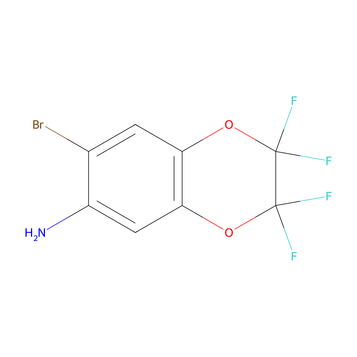 6-Amino-7-bromo-2,2,3,3-tetrafluoro-1,4-benzodioxane molecular structure, CAS 254895-87-9