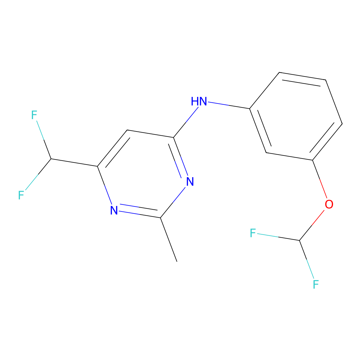 N-[3-(difluoromethoxy)phenyl]-6-(difluoromethyl)-2-methylpyrimidin-4-amine molecular structure, CAS 2548976-82-3