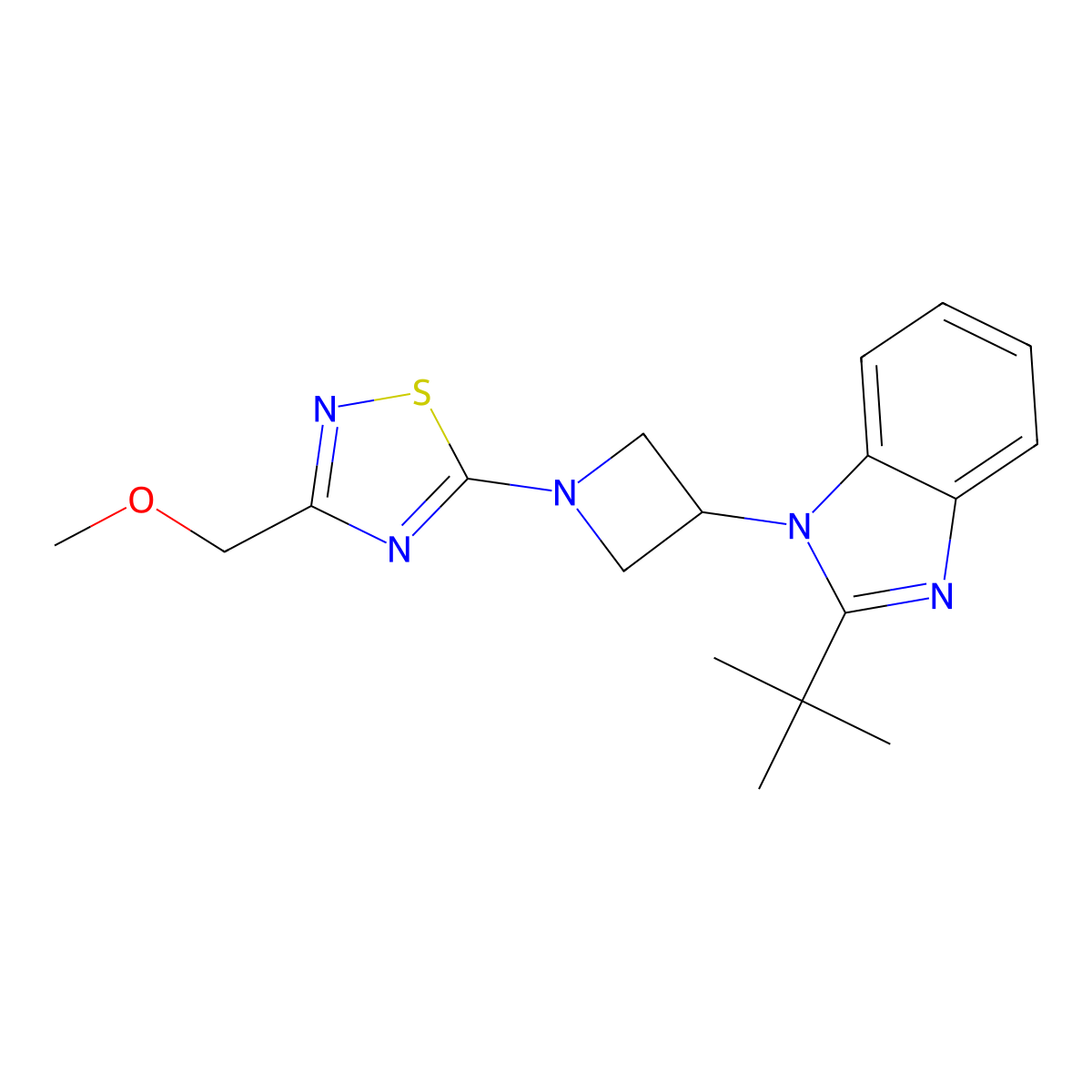 2-tert-butyl-1-{1-[3-(methoxymethyl)-1,2,4-thiadiazol-5-yl]azetidin-3-yl}-1H-1,3-benzodiazole molecular structure, CAS 2548981-81-1