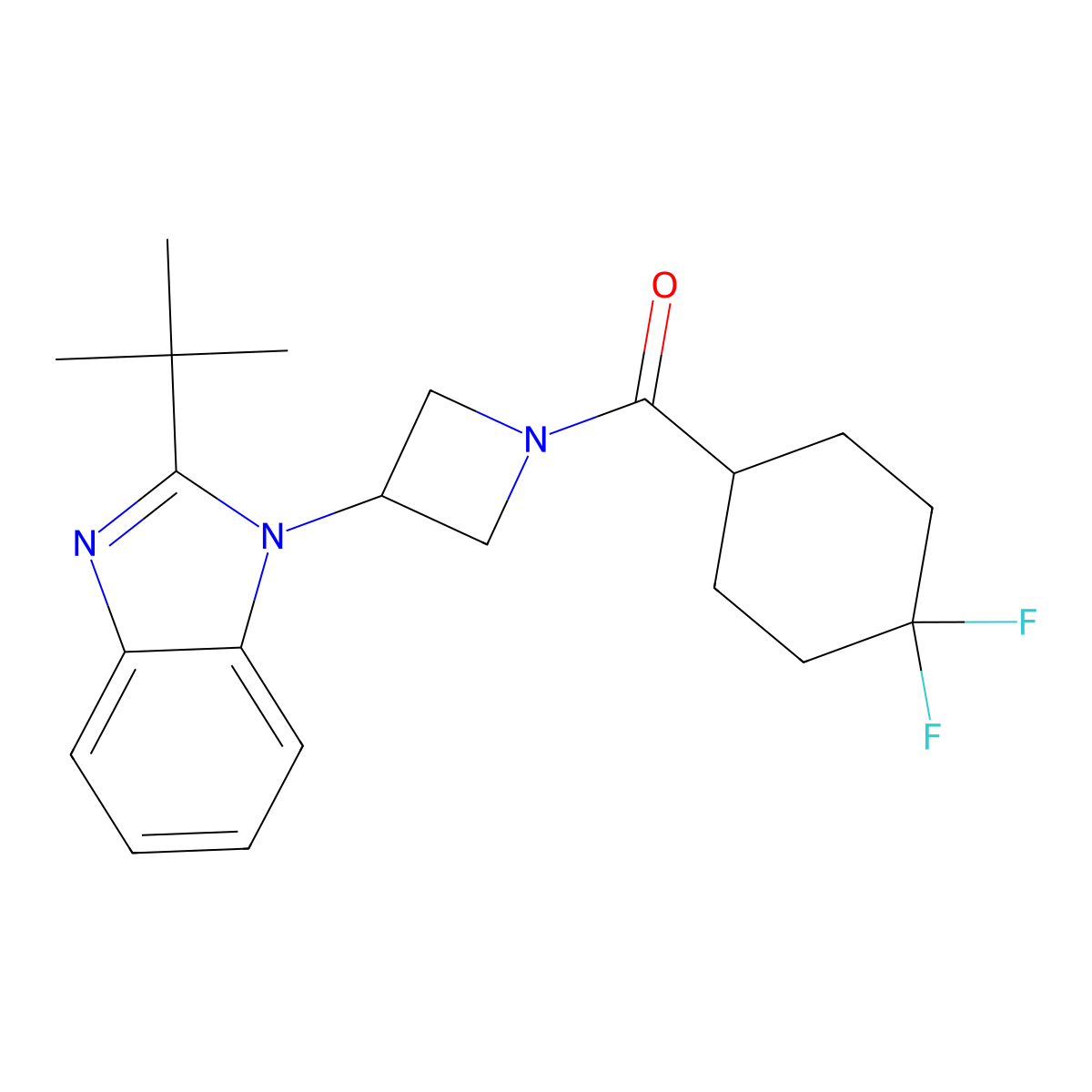 2-tert-butyl-1-[1-(4,4-difluorocyclohexanecarbonyl)azetidin-3-yl]-1H-1,3-benzodiazole molecular structure, CAS 2548986-96-3