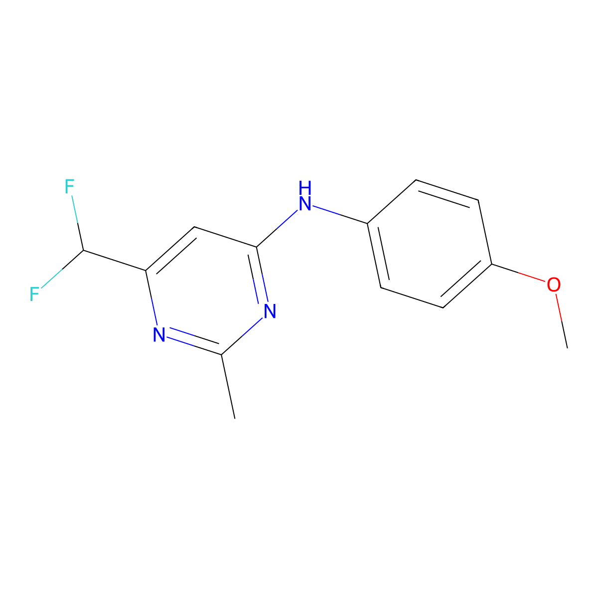 6-(difluoromethyl)-N-(4-methoxyphenyl)-2-methylpyrimidin-4-amine molecular structure, CAS 2548989-65-5
