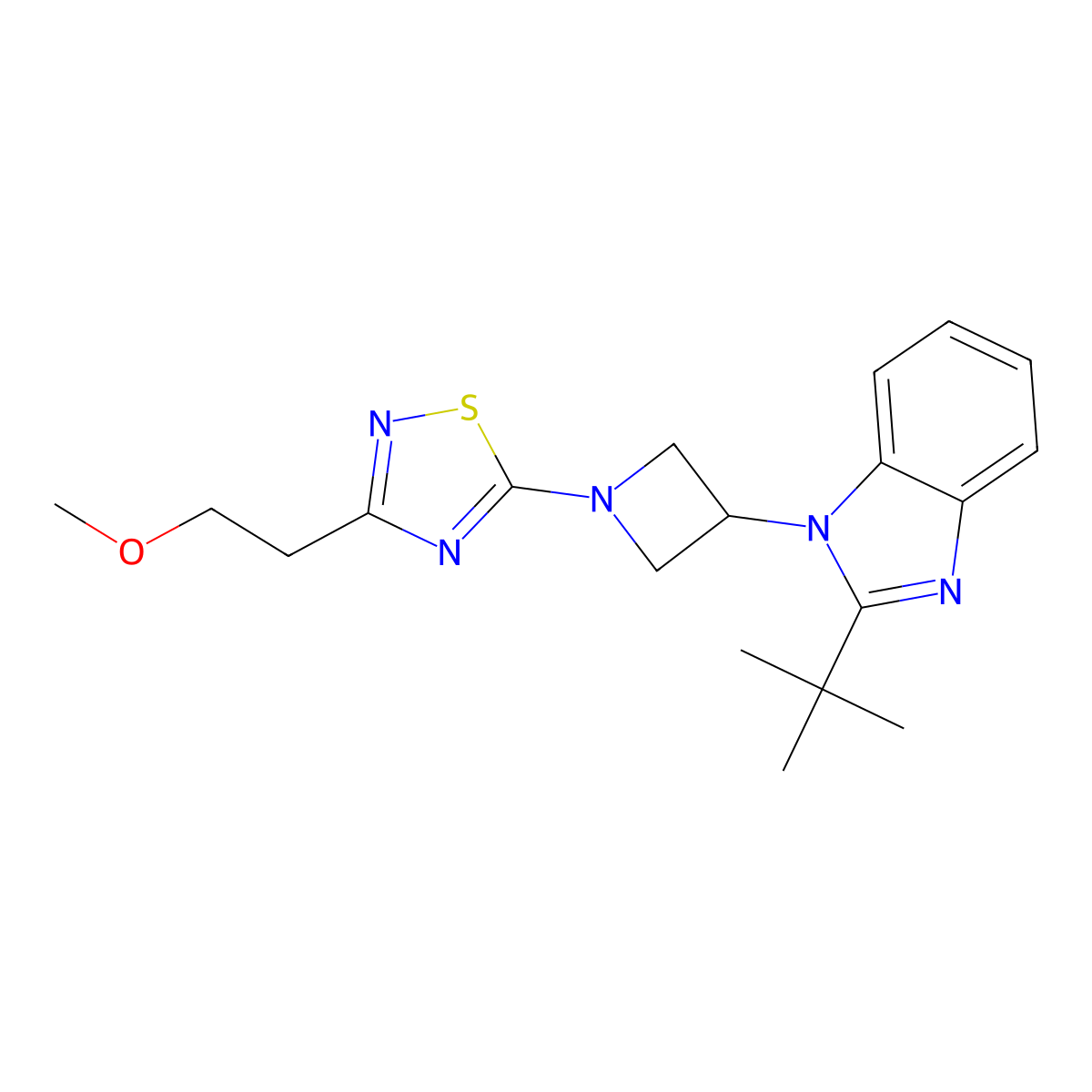 2-tert-butyl-1-{1-[3-(2-methoxyethyl)-1,2,4-thiadiazol-5-yl]azetidin-3-yl}-1H-1,3-benzodiazole molecular structure, CAS 2549039-23-6