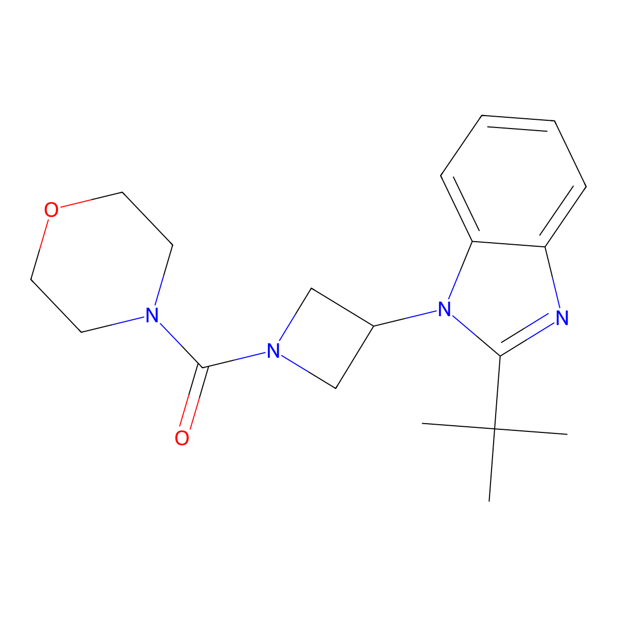 2-tert-butyl-1-[1-(morpholine-4-carbonyl)azetidin-3-yl]-1H-1,3-benzodiazole molecular structure, CAS 2549052-37-9