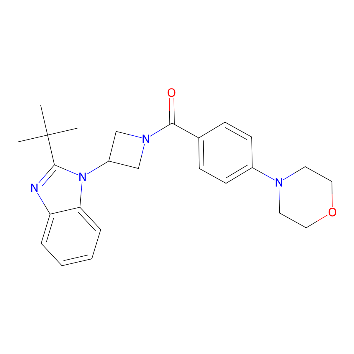 2-tert-butyl-1-{1-[4-(morpholin-4-yl)benzoyl]azetidin-3-yl}-1H-1,3-benzodiazole molecular structure, CAS 2549056-82-6