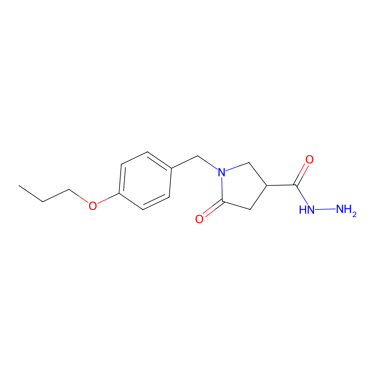 5-Oxo-1-[(4-propoxyphenyl)methyl]pyrrolidine-3-carbohydrazide molecular structure, CAS 2549062-86-2