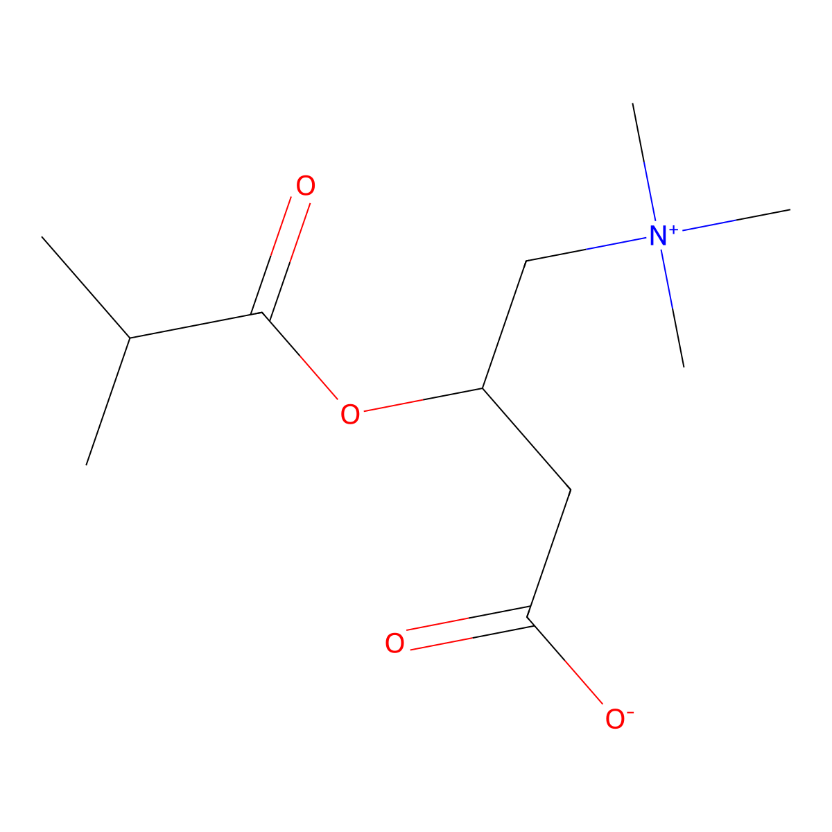 Isobutyrylcarnitine molecular structure, CAS 25518-49-4