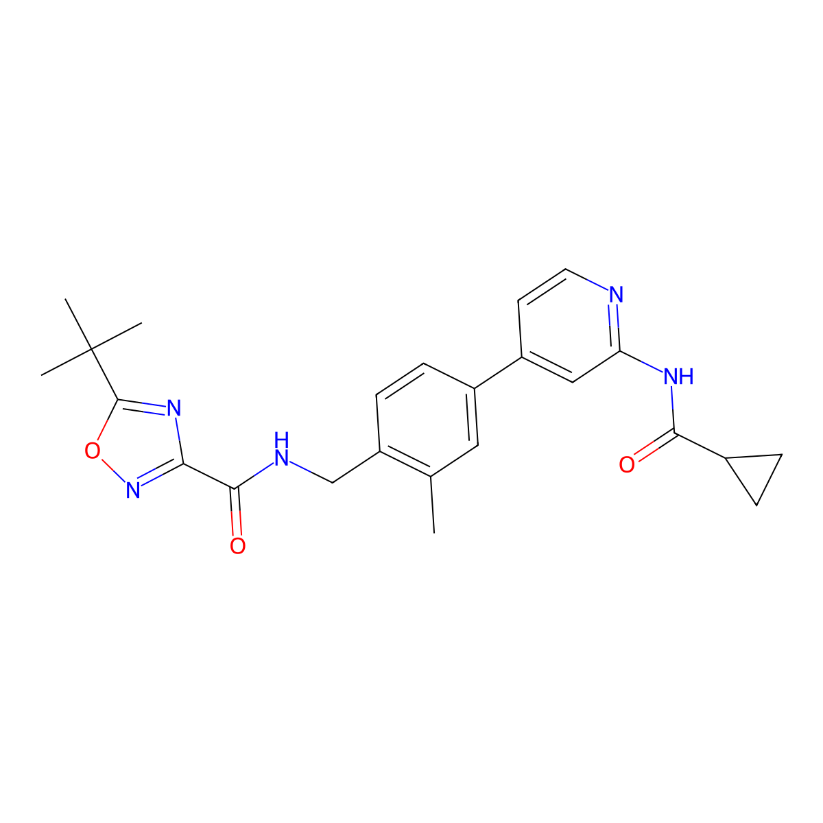 5-(tert-Butyl)-N-(4-(2-(cyclopropanecarboxamido)pyridin-4-yl)-2-methylbenzyl)-1,2,4-oxadiazole-3-carboxamide molecular structure, CAS 2554376-82-6