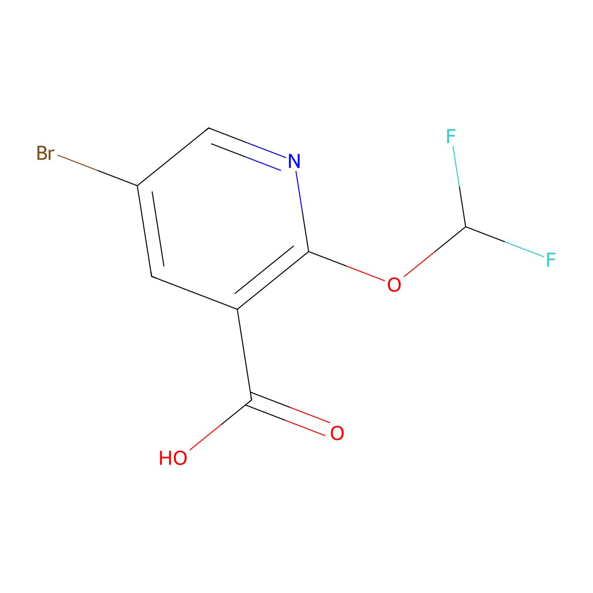 5-Bromo-2-(difluoromethoxy)nicotinic acid molecular structure, CAS 2559710-44-8