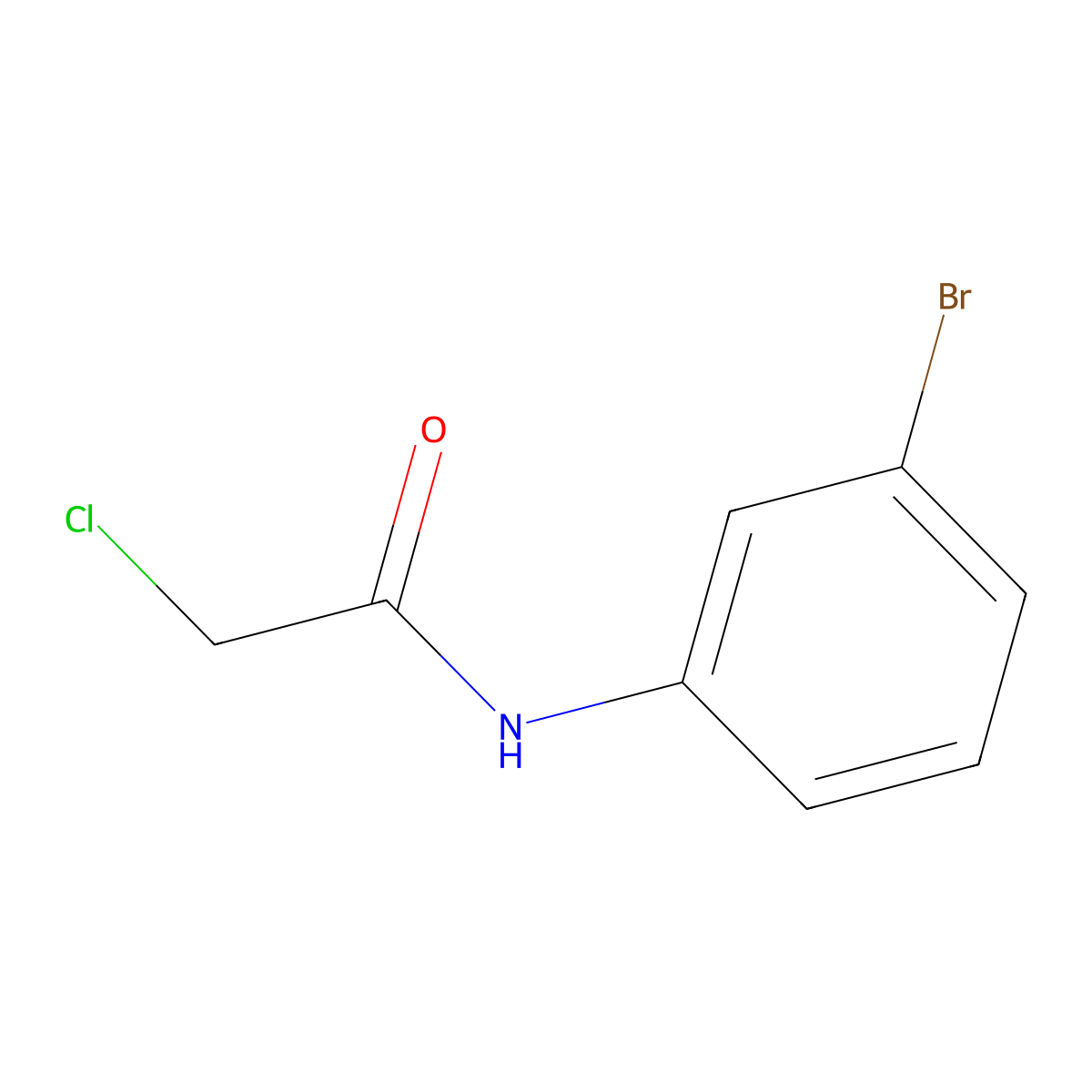 N-(3-bromophenyl)-2-chloroacetamide molecular structure, CAS 2564-03-6