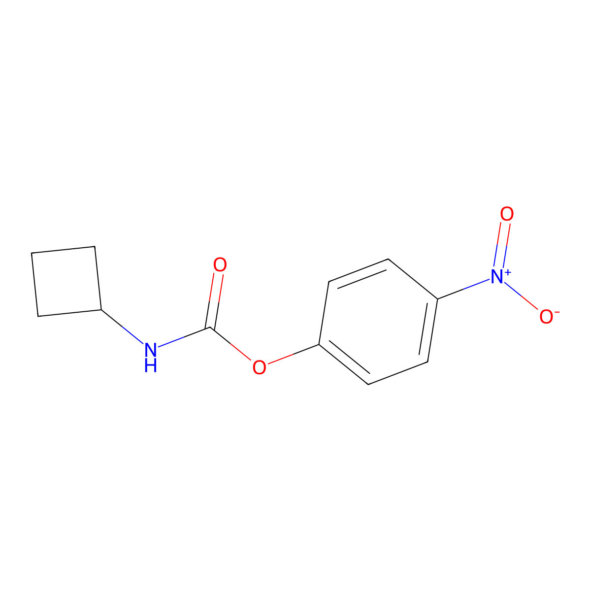 4-Nitrophenyl cyclobutylcarbamate molecular structure, CAS 2566470-59-3