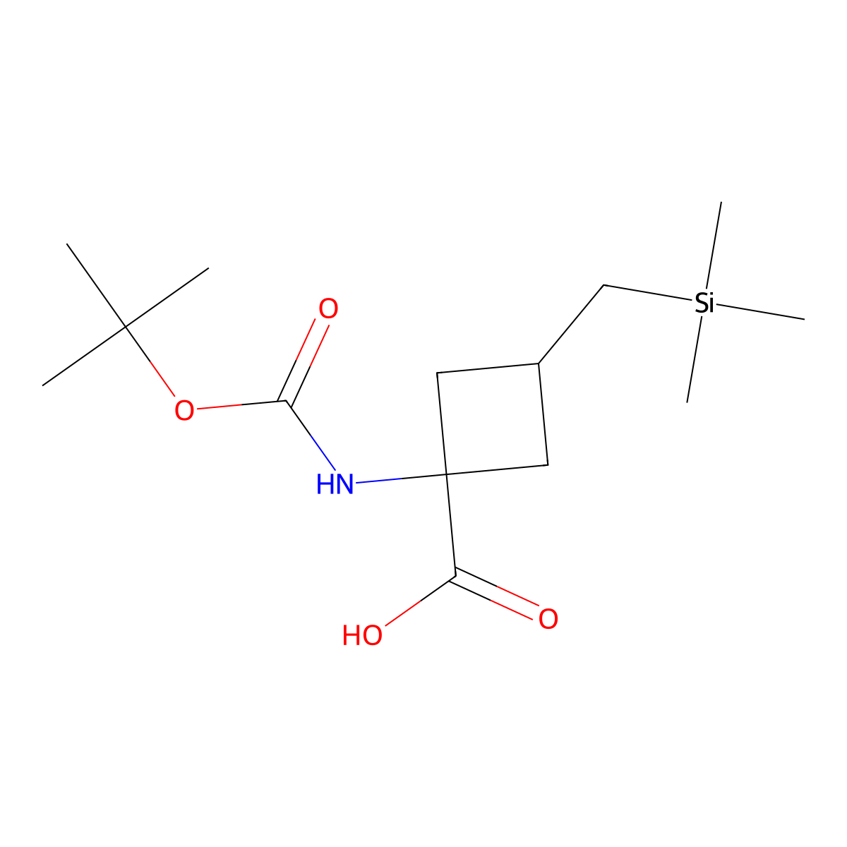 1-{[(Tert-butoxy)carbonyl]amino}-3-[(trimethylsilyl)methyl]cyclobutane-1-carboxylic acid molecular structure, CAS 2567495-85-4