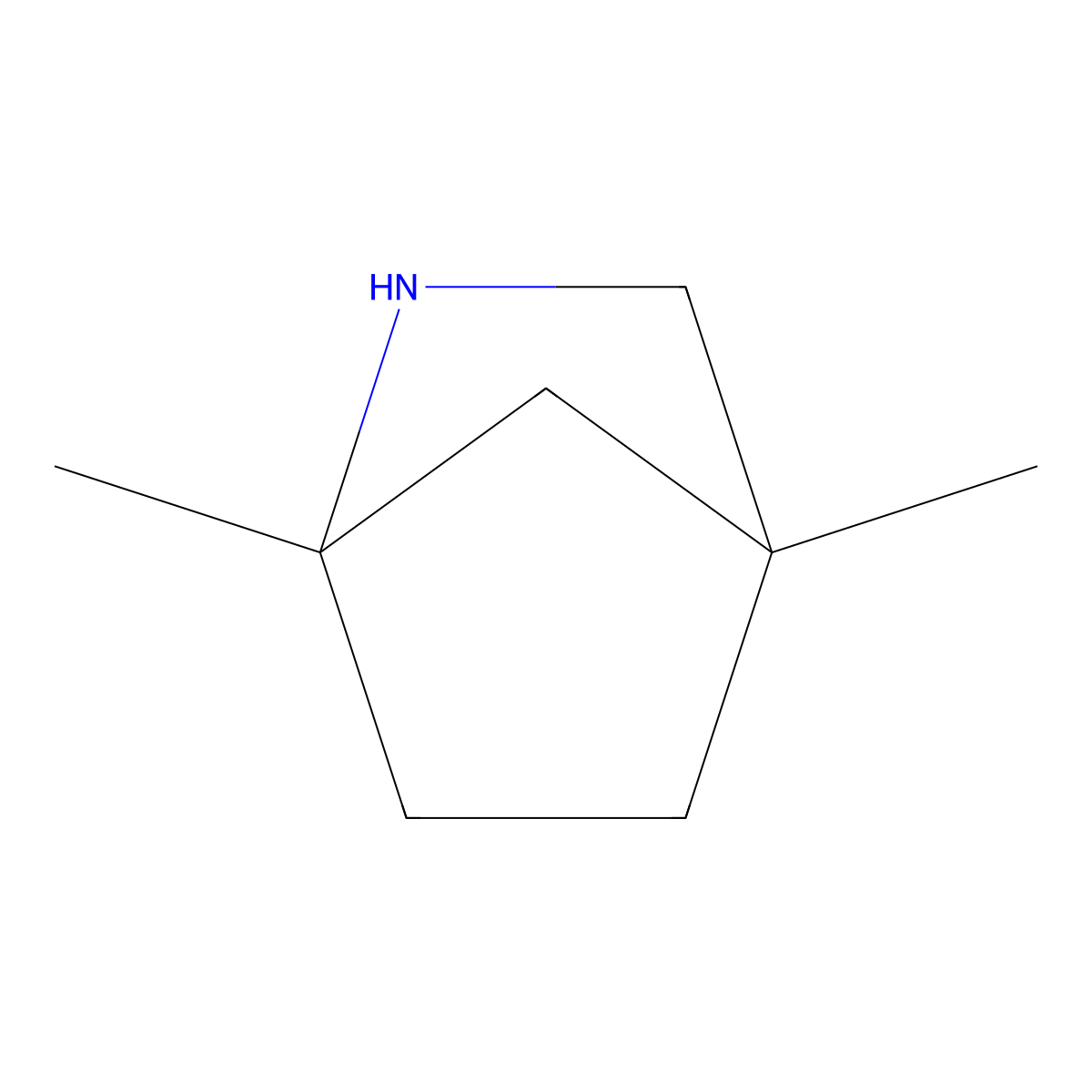 1,4-Dimethyl-2-azabicyclo[2.2.1]heptane molecular structure, CAS 2567498-24-0