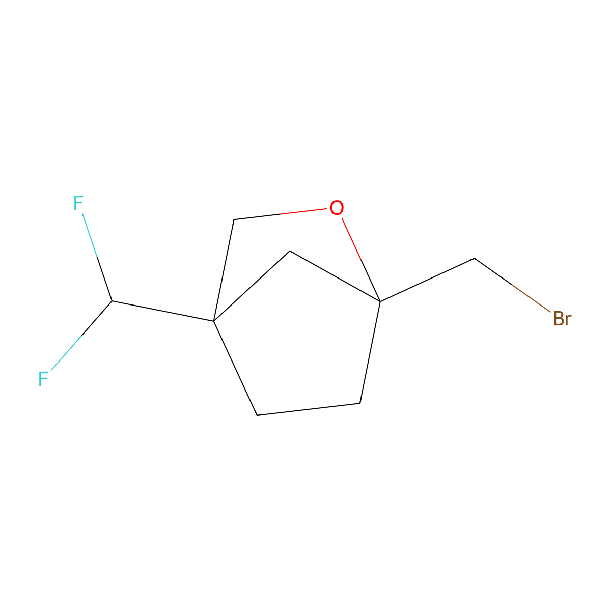 1-(Bromomethyl)-4-(difluoromethyl)-2-oxabicyclo[2.2.1]heptane molecular structure, CAS 2567504-99-6