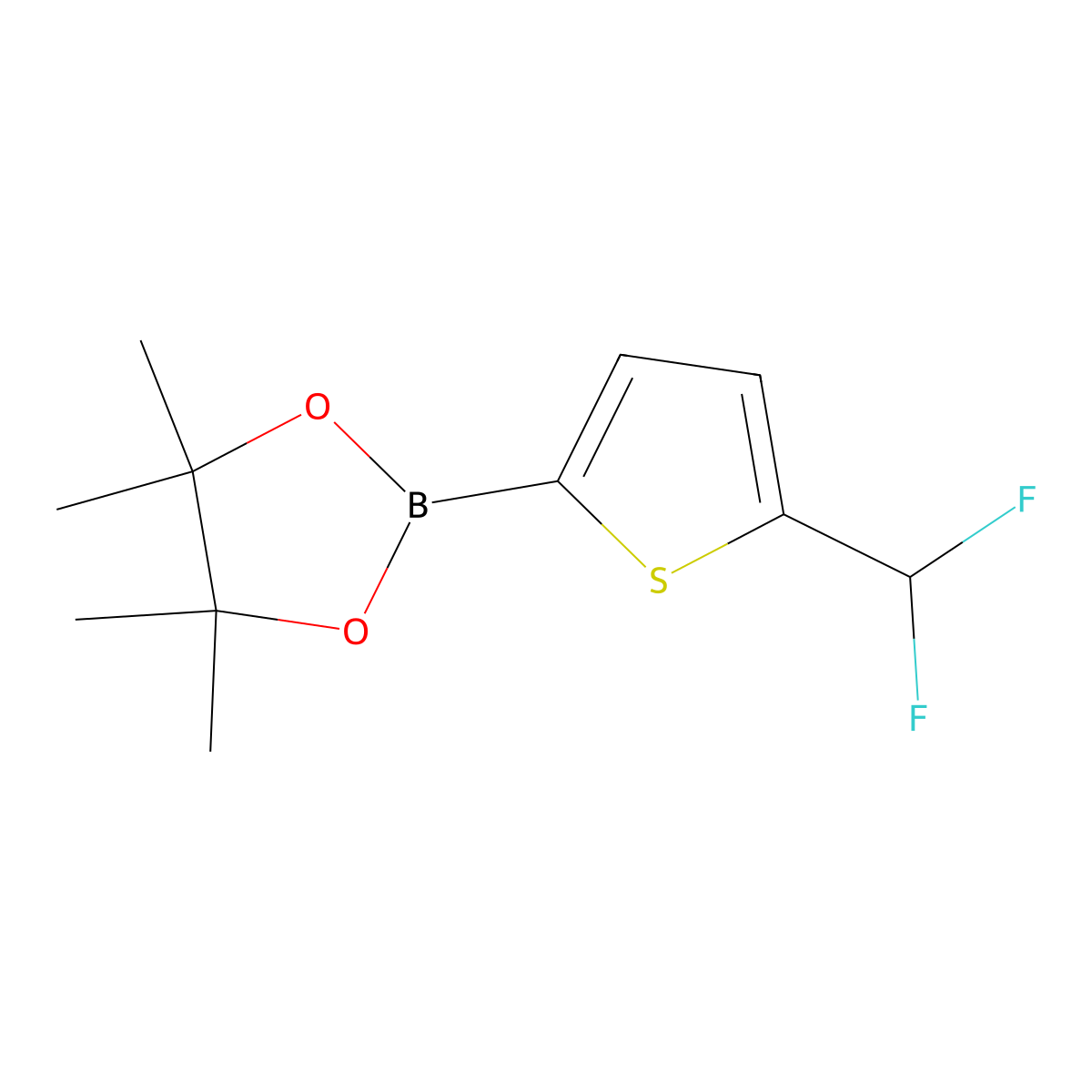 2-[5-(Difluoromethyl)thiophen-2-YL]-4,4,5,5-tetramethyl-1,3,2-dioxaborolane molecular structure, CAS 2568559-54-4