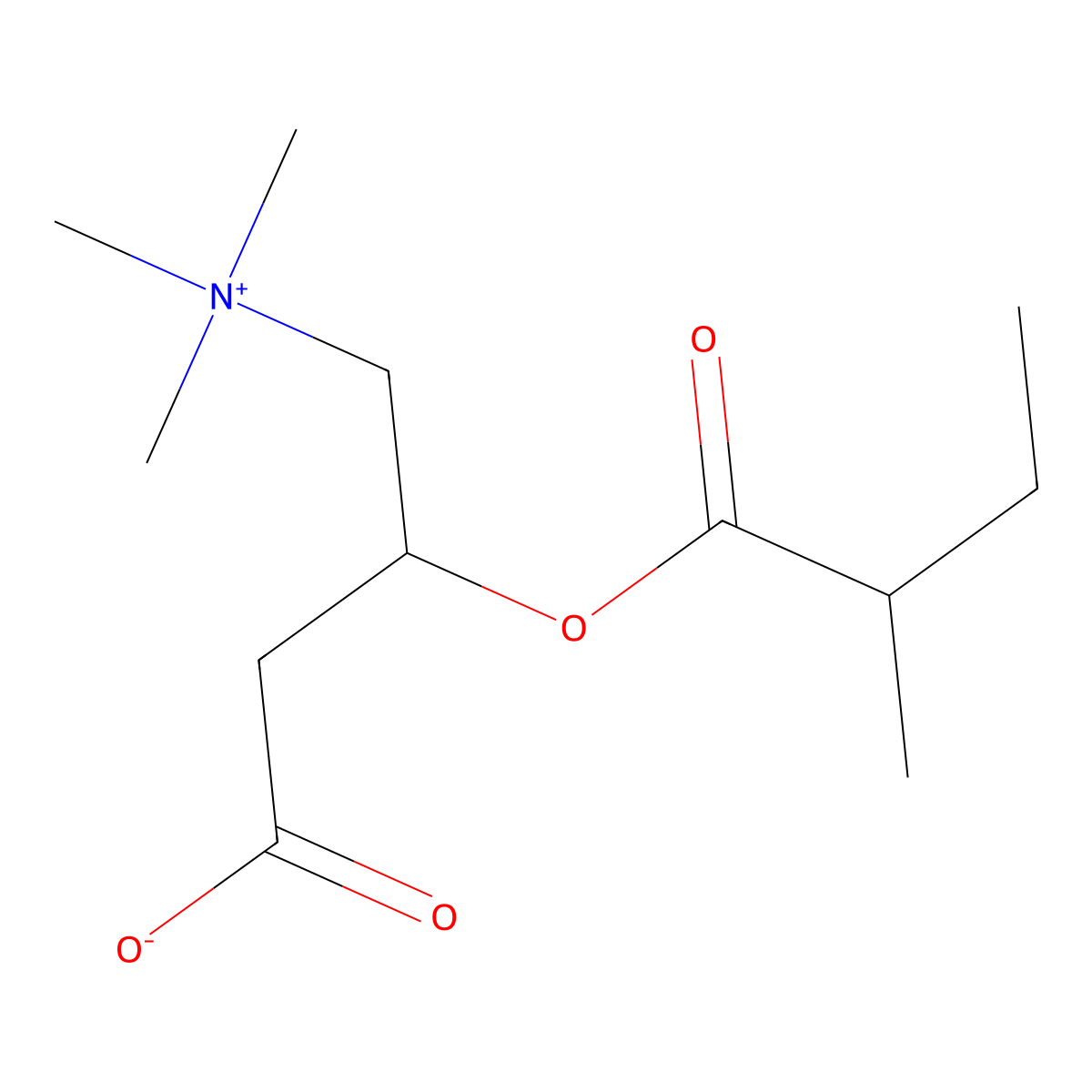 2-Methylbutyroylcarnitine molecular structure, CAS 256928-75-3