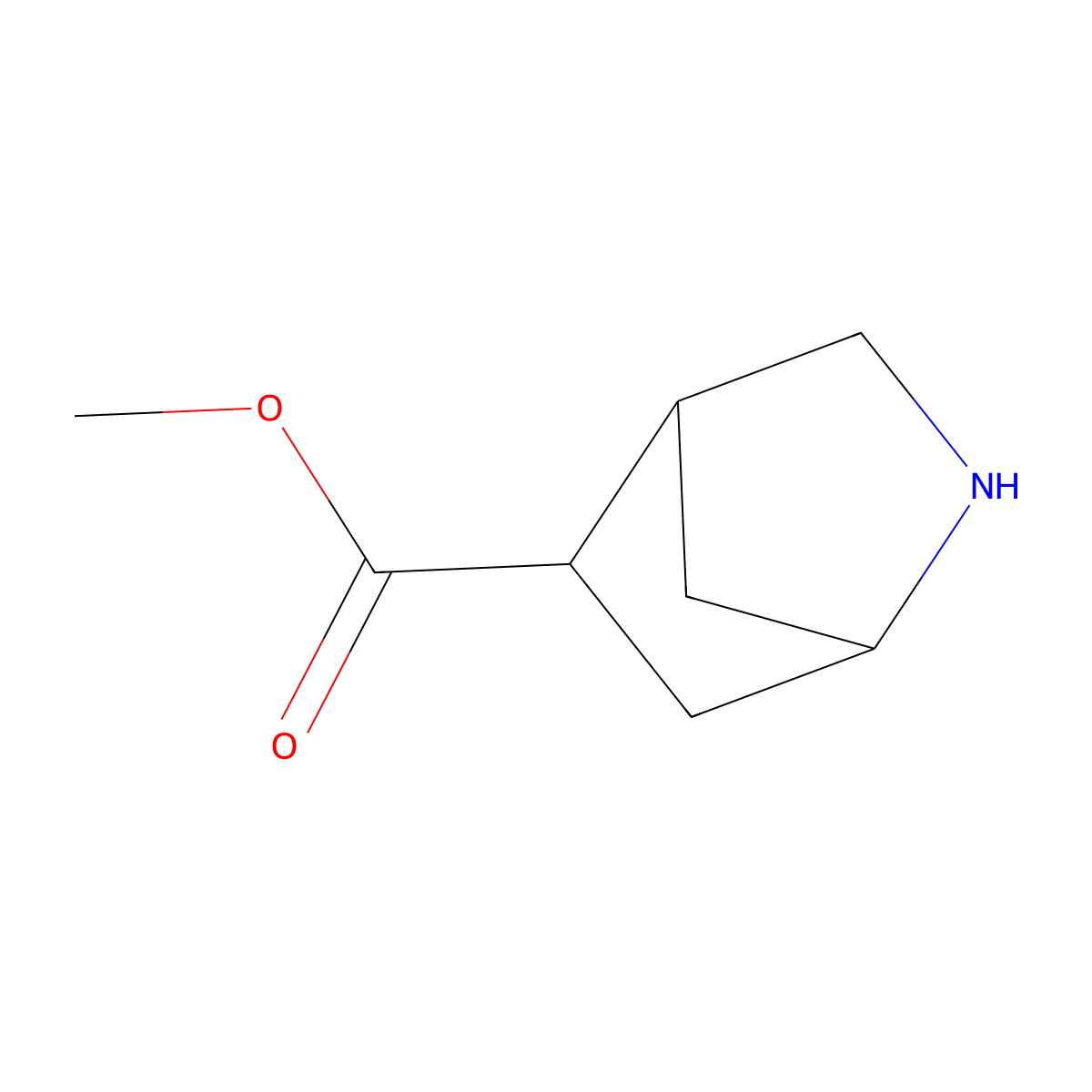 methyl (1S,4R,5R)-2-azabicyclo[2.2.1]heptane-5-carboxylate molecular structure, CAS 2580091-20-7