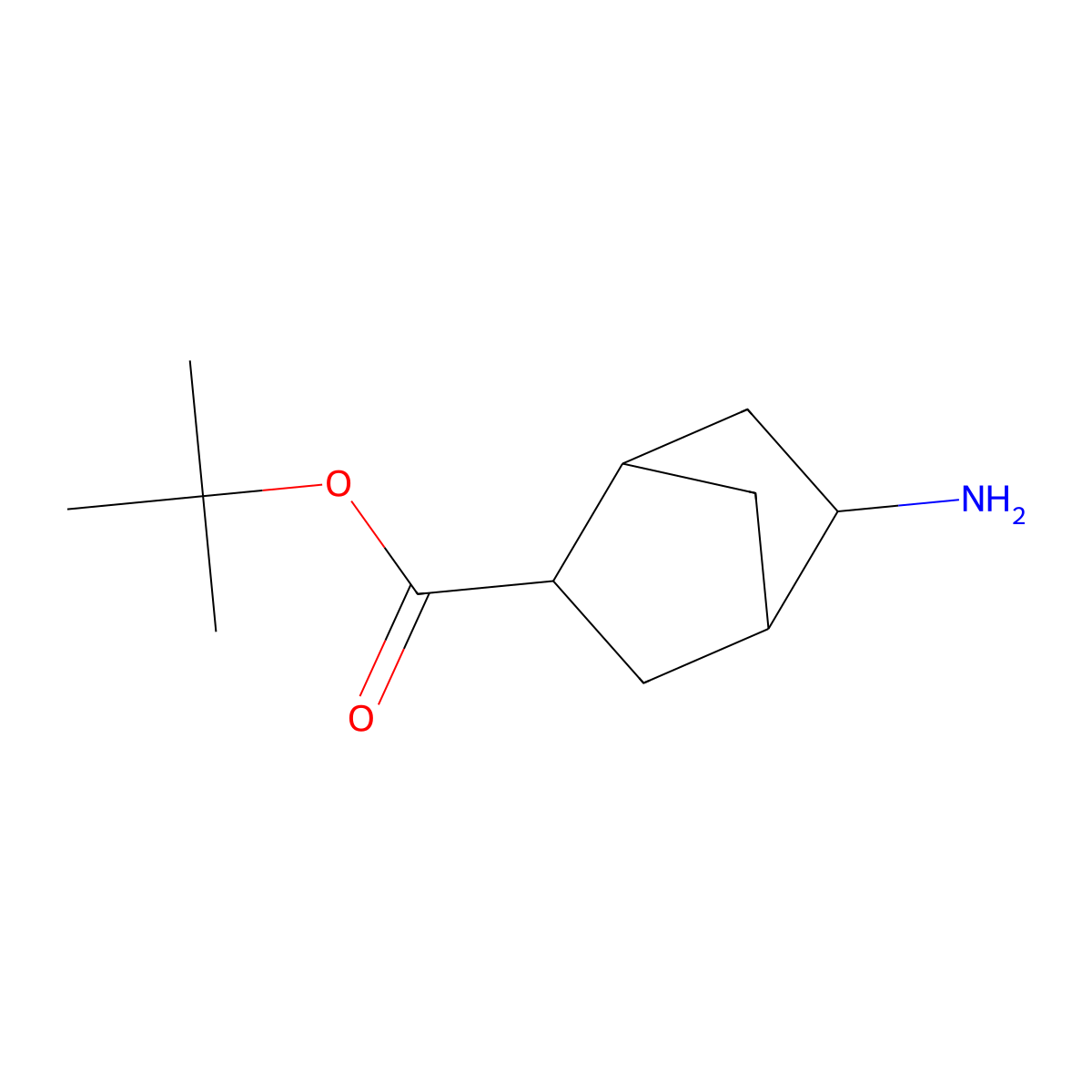 rac-tert-butyl (1R,2R,4R,5R)-5-aminobicyclo[2.2.1]heptane-2-carboxylate molecular structure, CAS 2580091-42-3