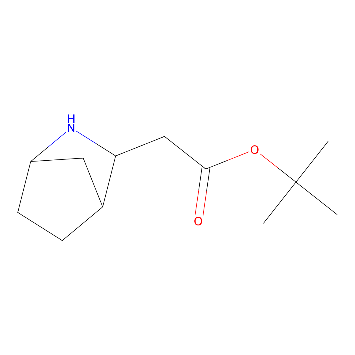 tert-butyl 2-[(1R,3R,4S)-2-azabicyclo[2.2.1]heptan-3-yl]acetate molecular structure, CAS 2580092-20-0