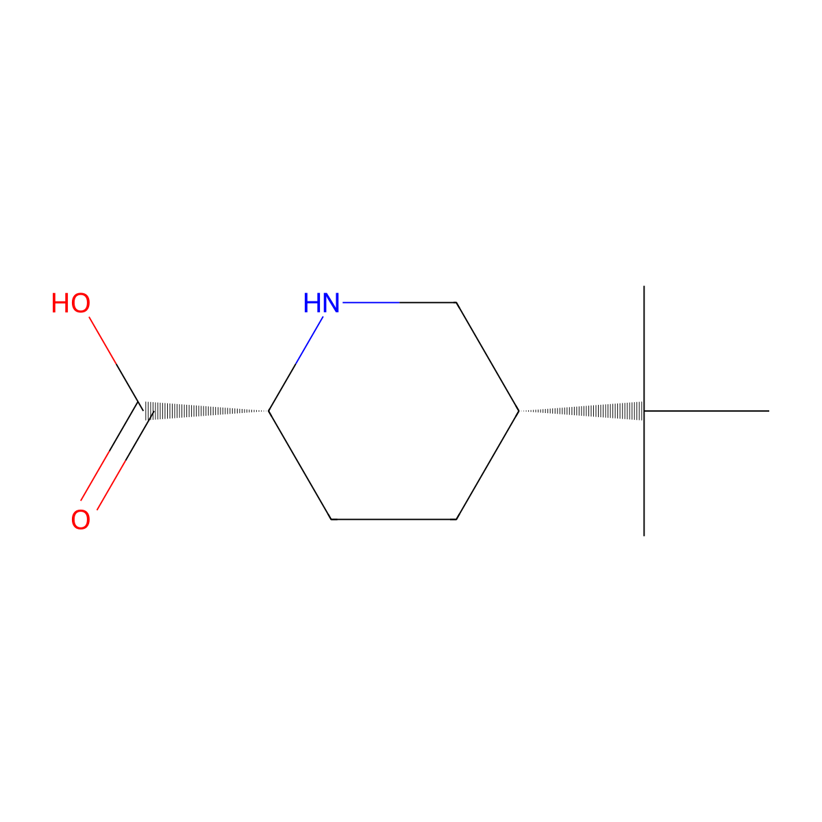 rac-(2R,5S)-5-tert-butylpiperidine-2-carboxylic acid molecular structure, CAS 2580092-38-0