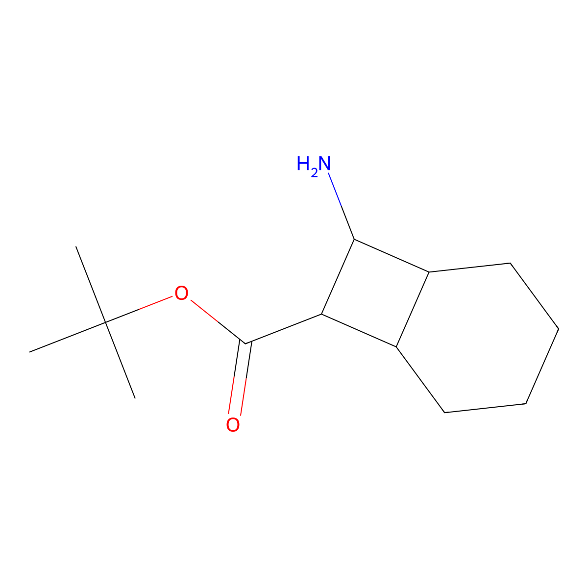 rac-tert-butyl (1R,6S,7S,8S)-8-aminobicyclo[4.2.0]octane-7-carboxylate molecular structure, CAS 2580097-04-5