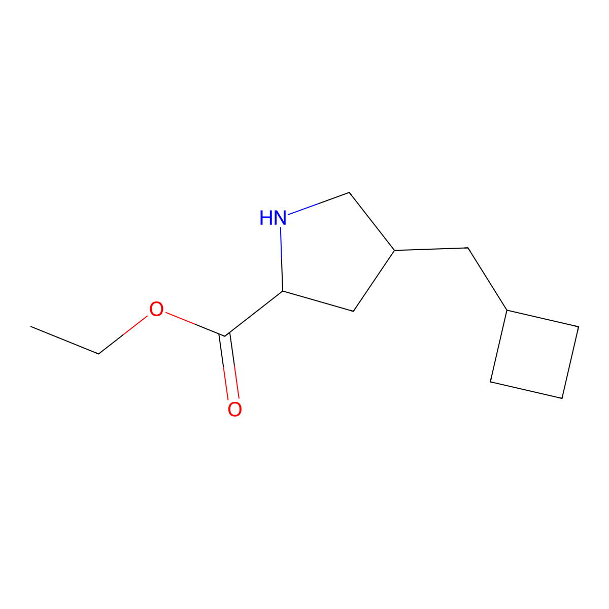 rac-ethyl (2R,4R)-4-(cyclobutylmethyl)pyrrolidine-2-carboxylate molecular structure, CAS 2580097-11-4