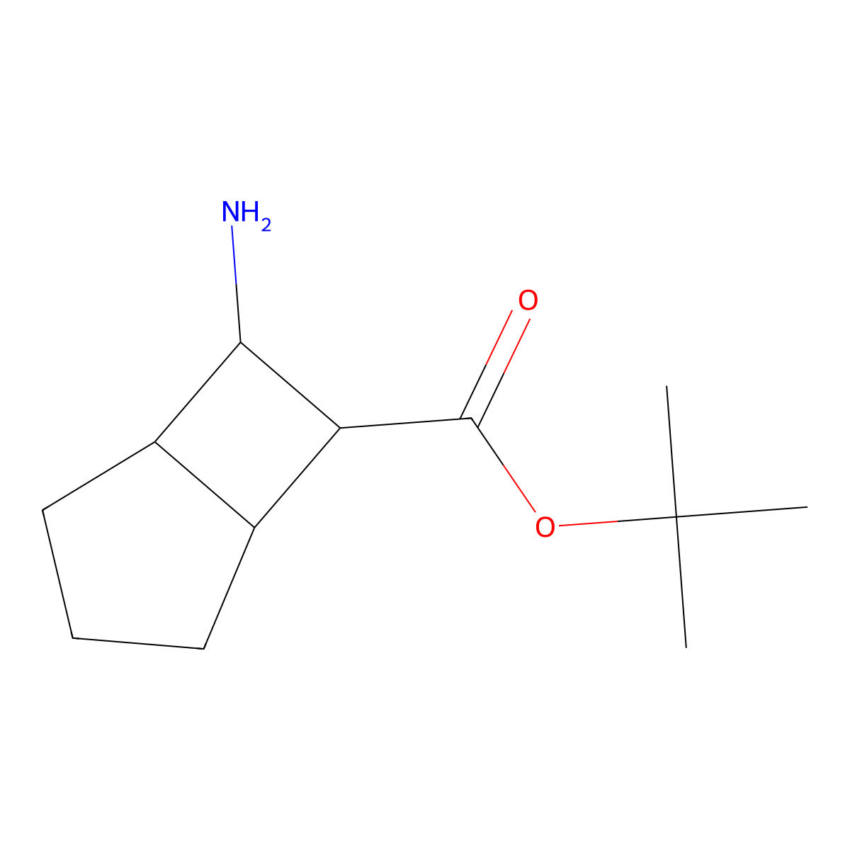 rac-tert-butyl (1R,5S,6S,7S)-7-aminobicyclo[3.2.0]heptane-6-carboxylate molecular structure, CAS 2580103-86-0
