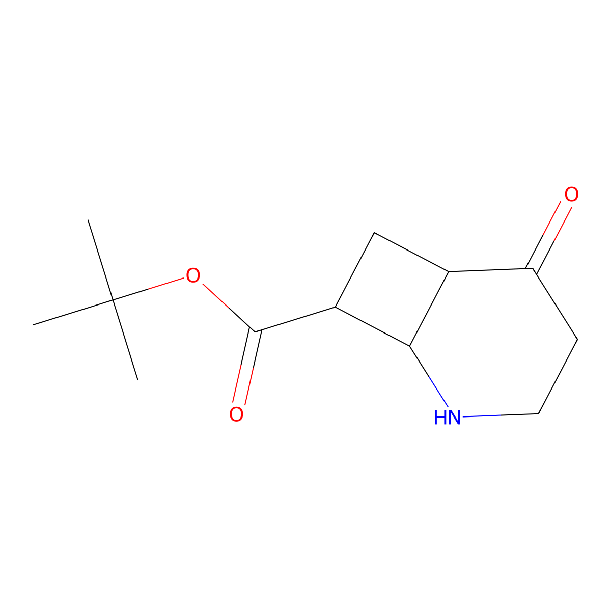 rac-tert-butyl (1R,6R,8R)-5-oxo-2-azabicyclo[4.2.0]octane-8-carboxylate molecular structure, CAS 2580104-05-6