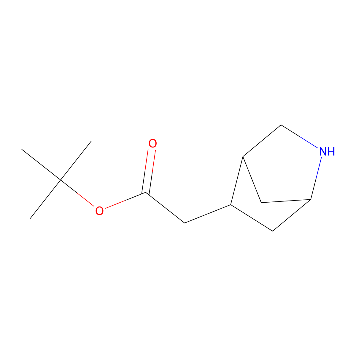 Tert-butyl 2-{2-azabicyclo[2.2.1]heptan-5-yl}acetate molecular structure, CAS 2580240-55-5