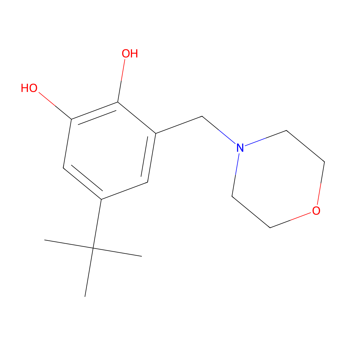 5-(Tert-butyl)-3-(morpholinomethyl)benzene-1,2-diol molecular structure, CAS 25825-31-4