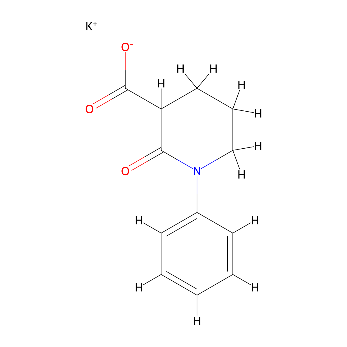 Potassium 2-oxo-1-phenylpiperidine-3-carboxylate molecular structure, CAS 2613382-71-9