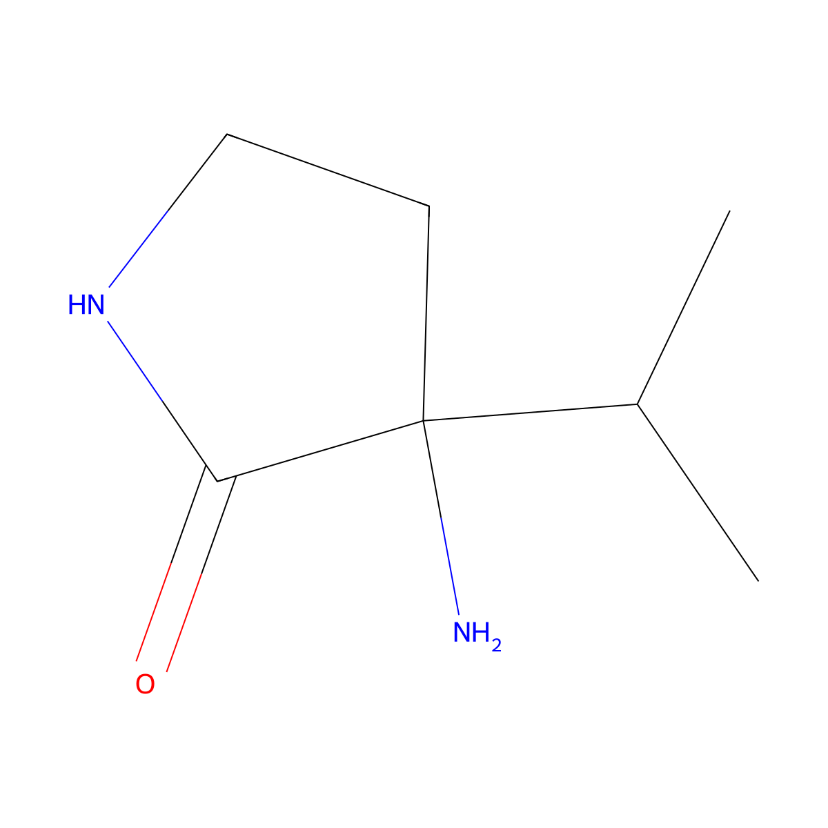 3-Amino-3-(propan-2-yl)pyrrolidin-2-one molecular structure, CAS 2613384-30-6