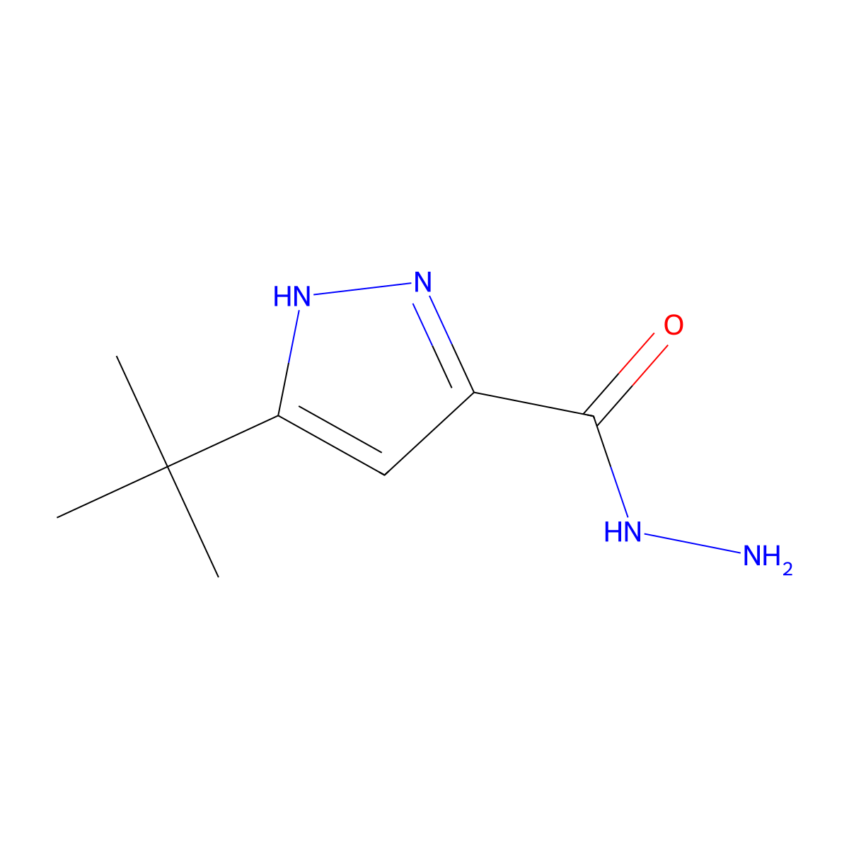 3-tert-butyl-1H-pyrazole-5-carbohydrazide molecular structure, CAS 262292-02-4