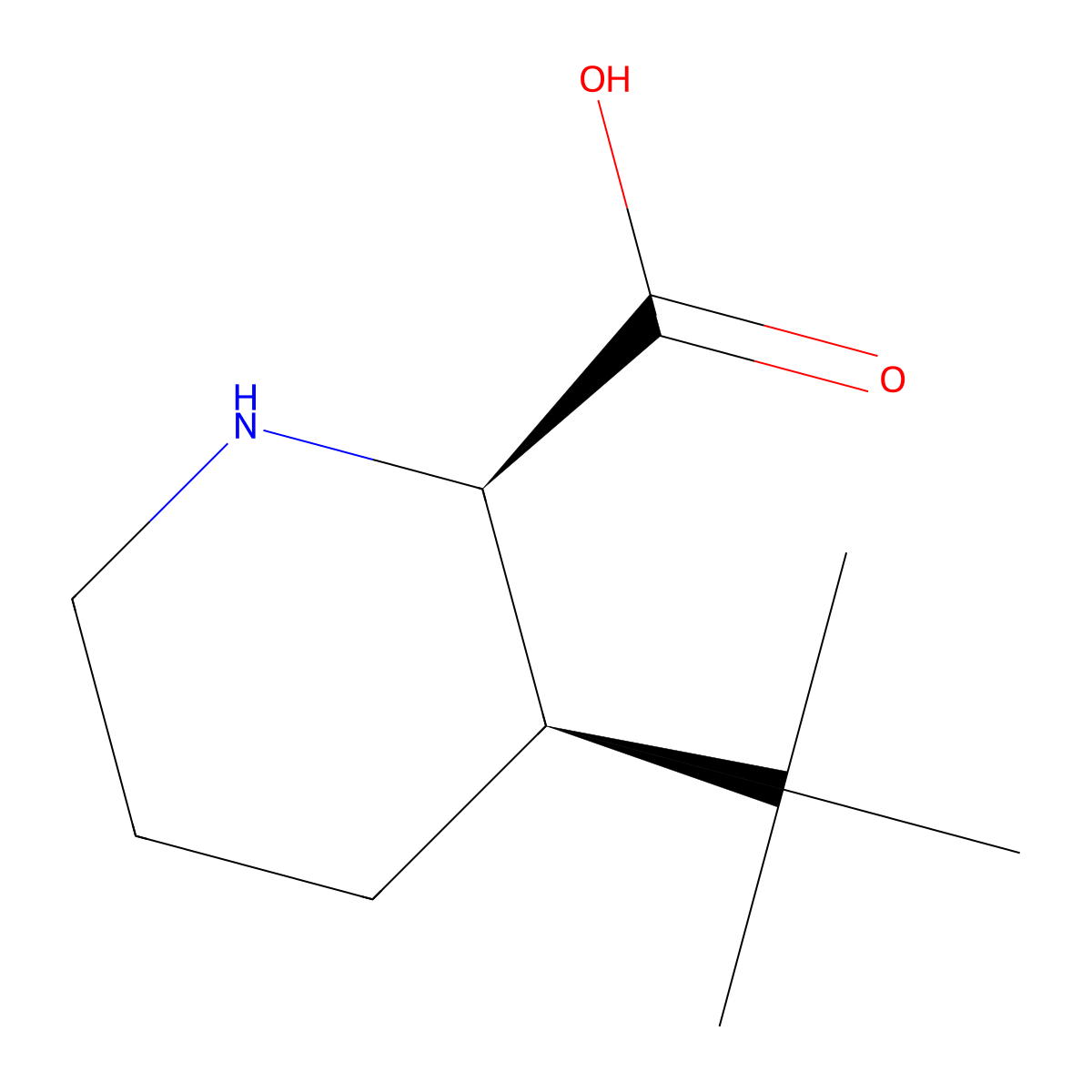(2R,3R)-3-tert-butylpiperidine-2-carboxylic acid molecular structure, CAS 2639370-70-8
