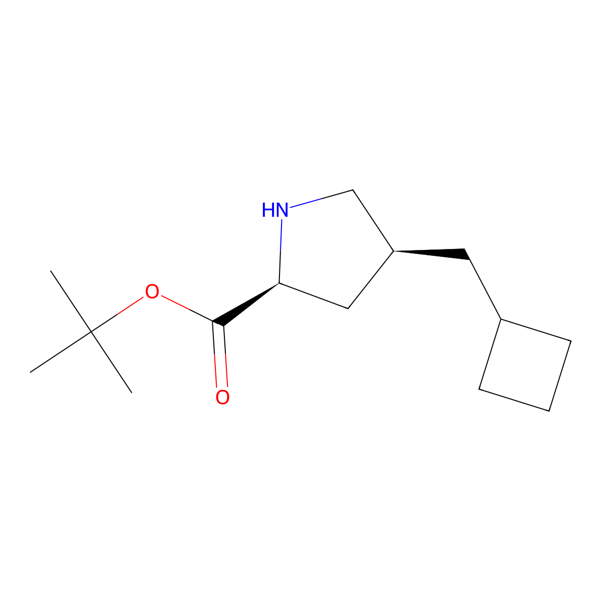 rac-tert-butyl (2R,4R)-4-(cyclobutylmethyl)pyrrolidine-2-carboxylate molecular structure, CAS 2639371-29-0