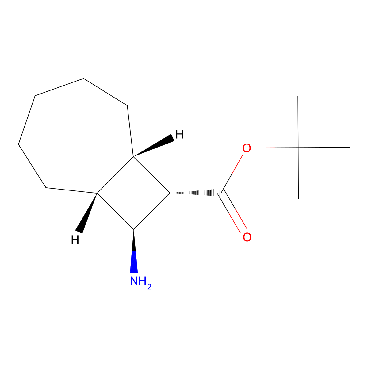 rac-tert-butyl (1R,7S,8S,9S)-9-aminobicyclo[5.2.0]nonane-8-carboxylate molecular structure, CAS 2639374-47-1